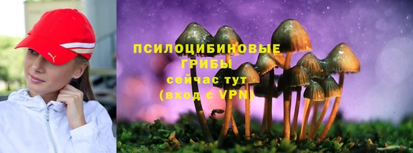 твердый Бронницы