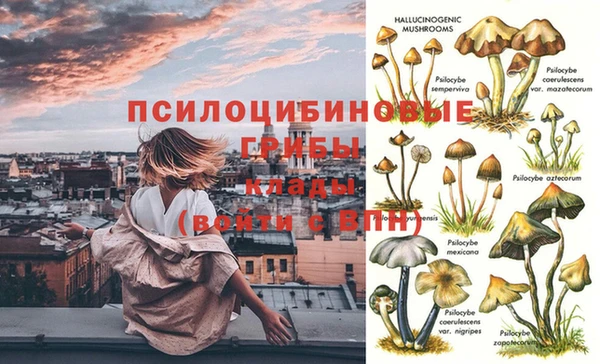 а пвп мука Верея