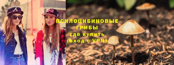 бутират Бородино