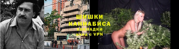 твердый Бронницы