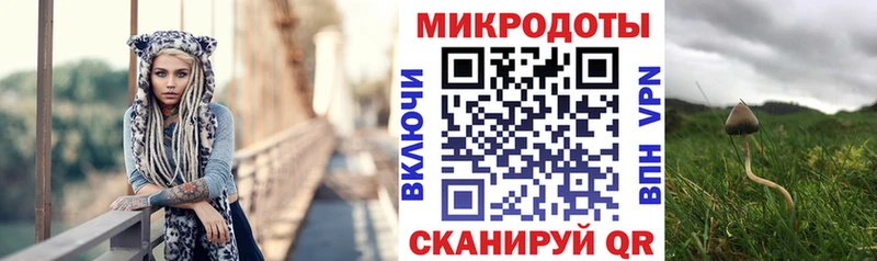 Галлюциногенные грибы Cubensis  Кириши 