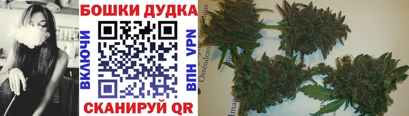 блэк спрут онион  где найти   Кириши  Каннабис семена 